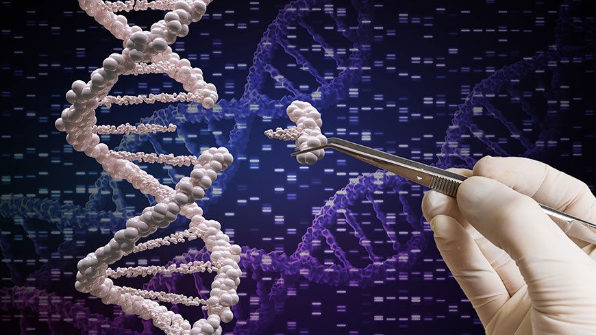 Ethics and Human Rights must guide any use of genome editing technologies in human beings